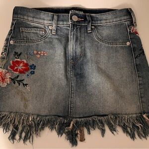 Express Denim Skirt with Floral Embroidery
